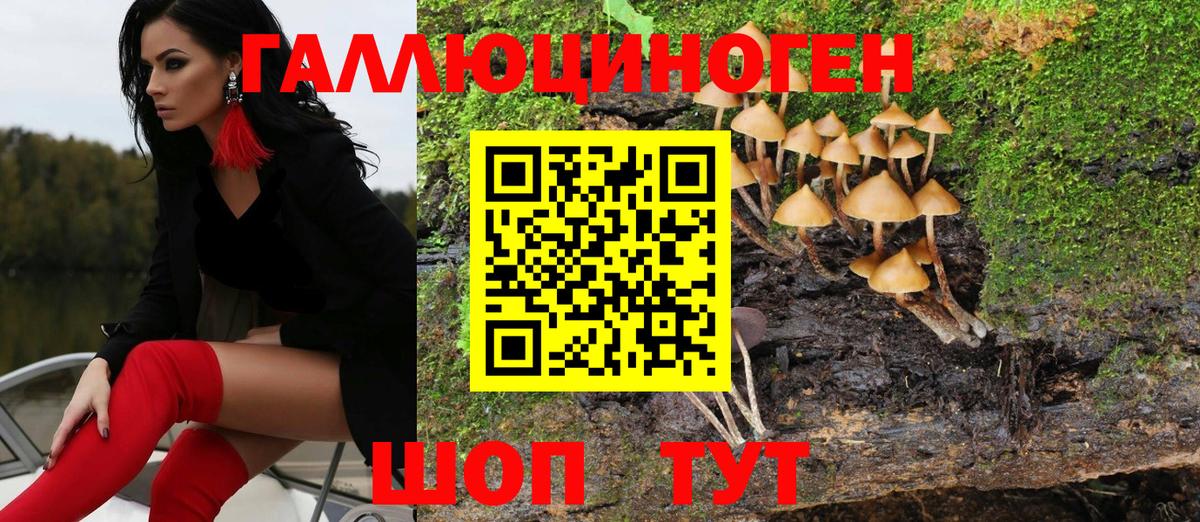 Омск  Галлюциногенные грибы мухоморы  Вход с VPN 