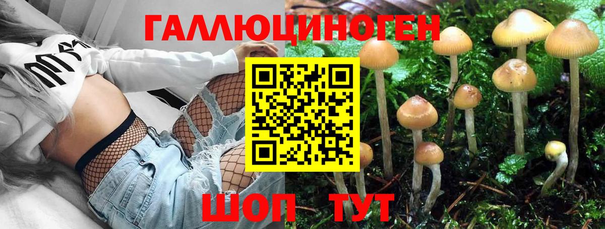 Псилоцибиновые грибы прущие грибы Омск